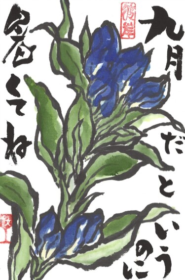 本講座【三木校】毎月が楽しみになる 極める絵手紙 岩原千文 第1週水曜